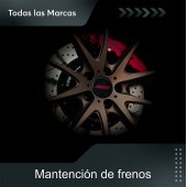 Mantención y Diagnóstico de...