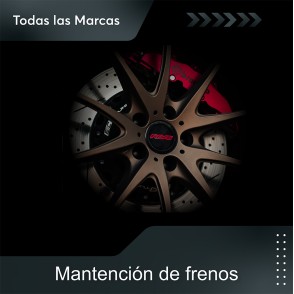 Mantención y Diagnóstico de...