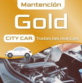 City Car - Mantención Gold
