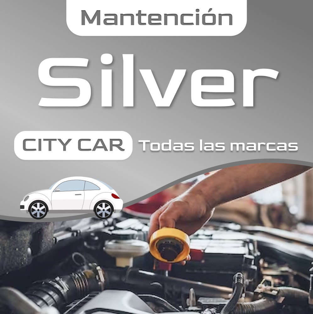 City Car - Mantención Silver
